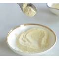 High Quality Powder Probiotics Lactobacillus Plantarum